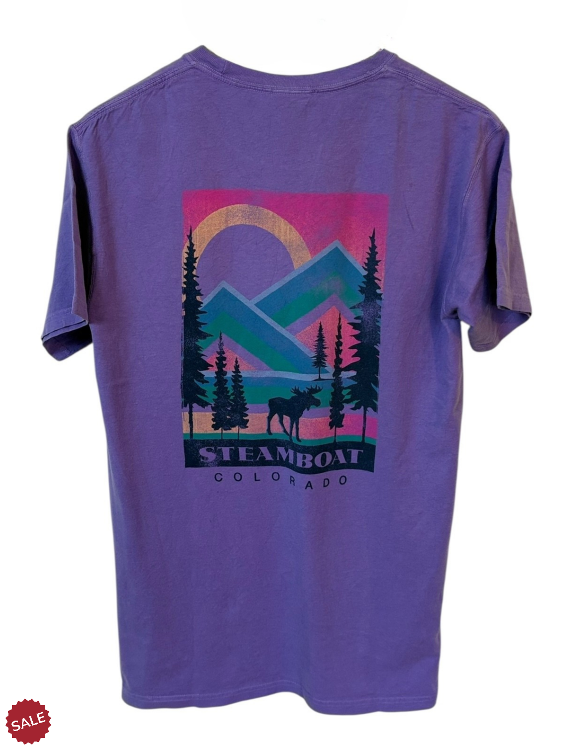 Steamboat-Colorado-Purple-T-Shirt-Boat-Unisex-Small